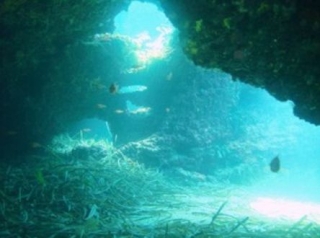 paysages sous marins de la Haute Corse